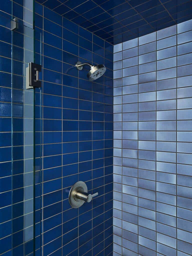 hkb_master bath_shower hardware Blue Shower - Bathroom Remodel
