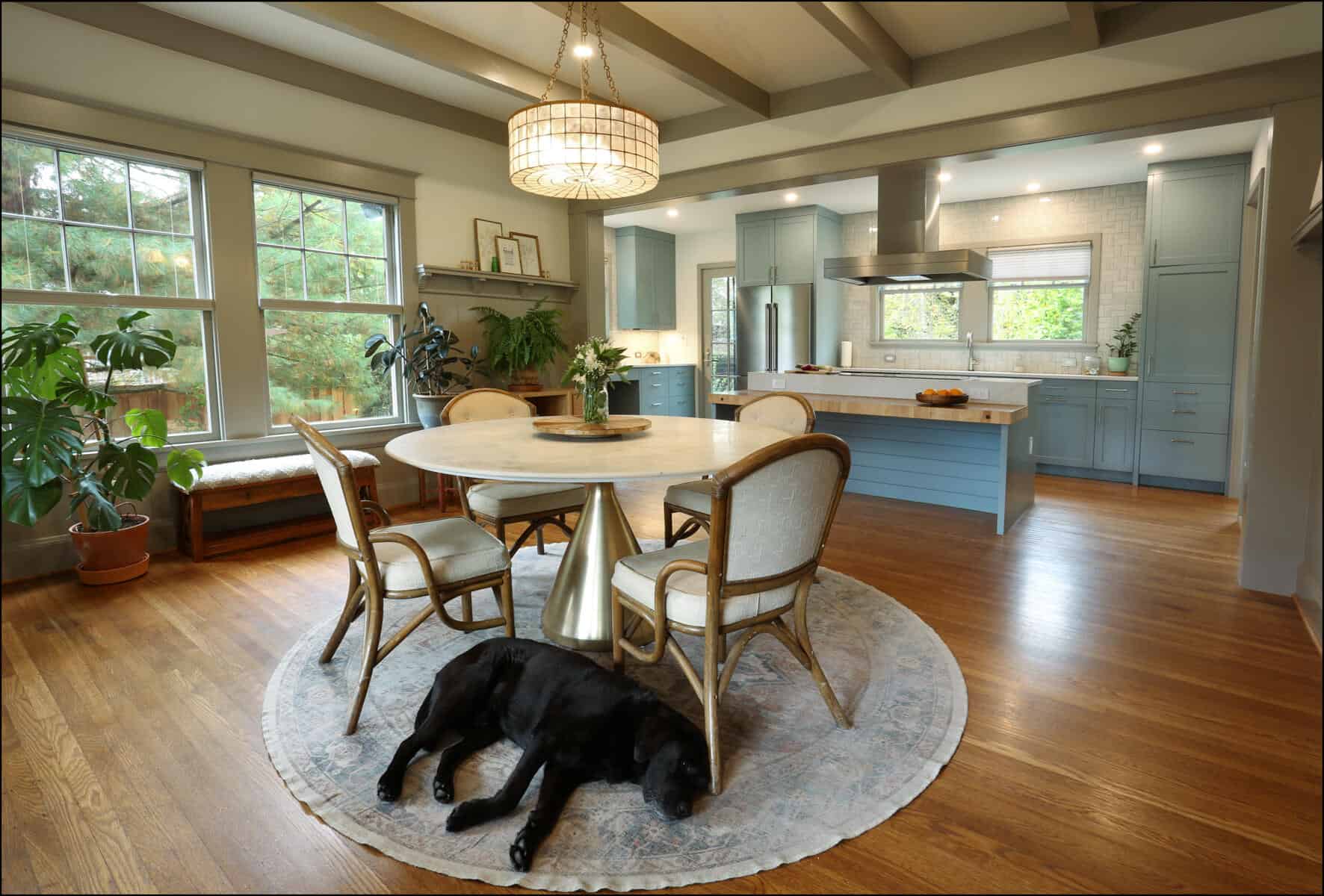 A cozy kitchen with light blue cabinets, a round dining table, and chairs on a rug. A black dog rests on the floor. Large windows and plants create a pleasant atmosphere. A cozy kitchen with light blue cabinets, a round dining table, and chairs on a rug. A black dog rests on the floor. Large windows and plants create a pleasant atmosphere.