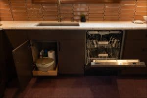 A modern kitchen with a sink, an open dishwasher, and a cabinet door open to reveal cleaning supplies below the counter.